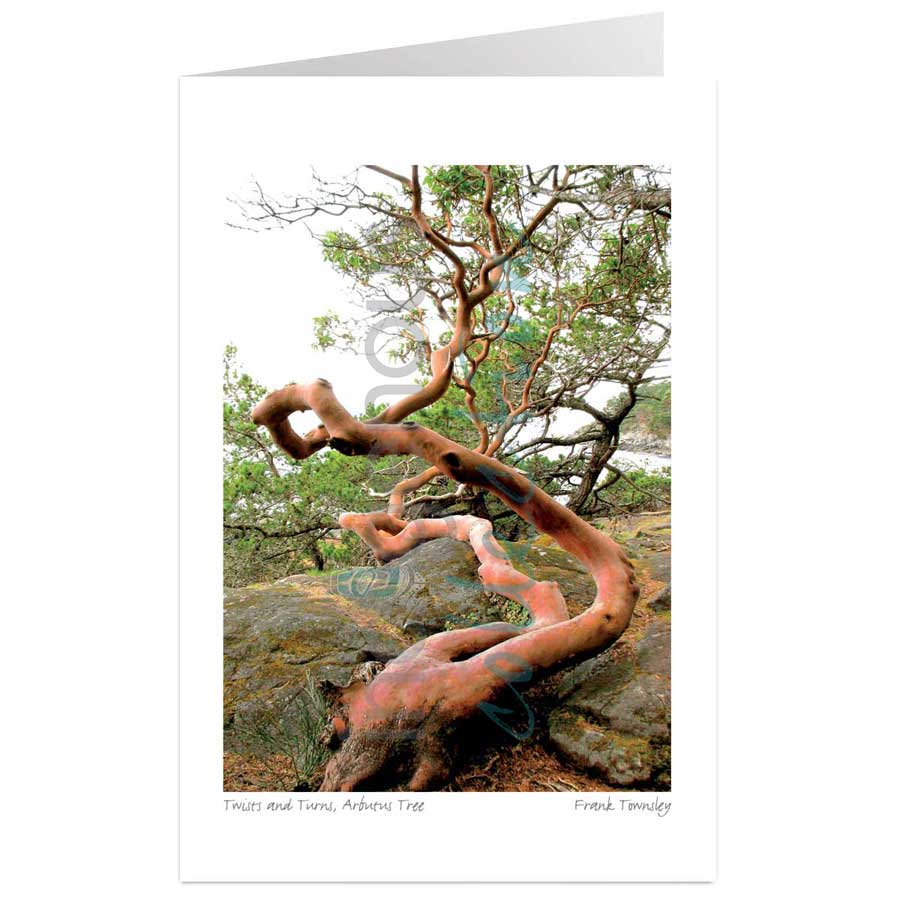 Twists and Turns, Arbutus Tree, East Sooke Regional Park, Vancouver Island, BC by artist Frank Townsley