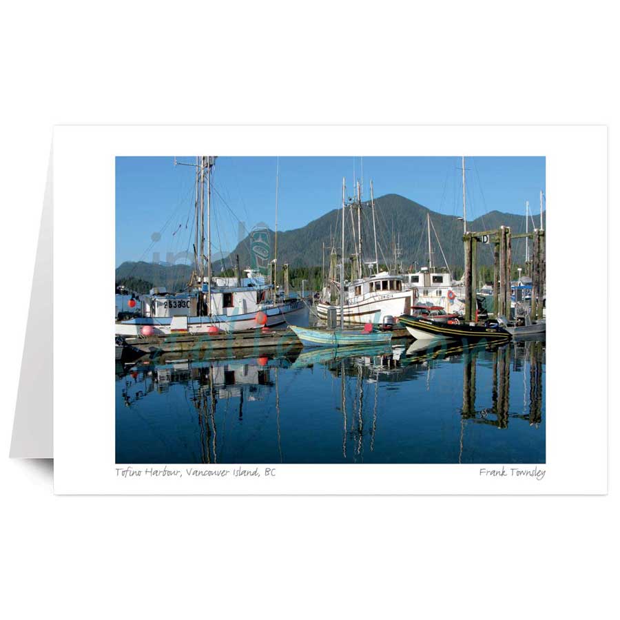Tofino Harbour, Vancouver Island, BC by artist Frank Townsley