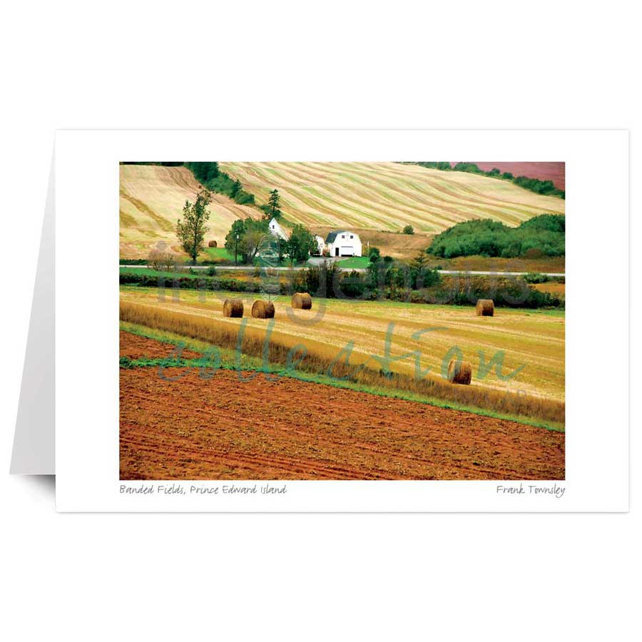 Banded Fields, Prince Edward Island by artist Frank Townsley