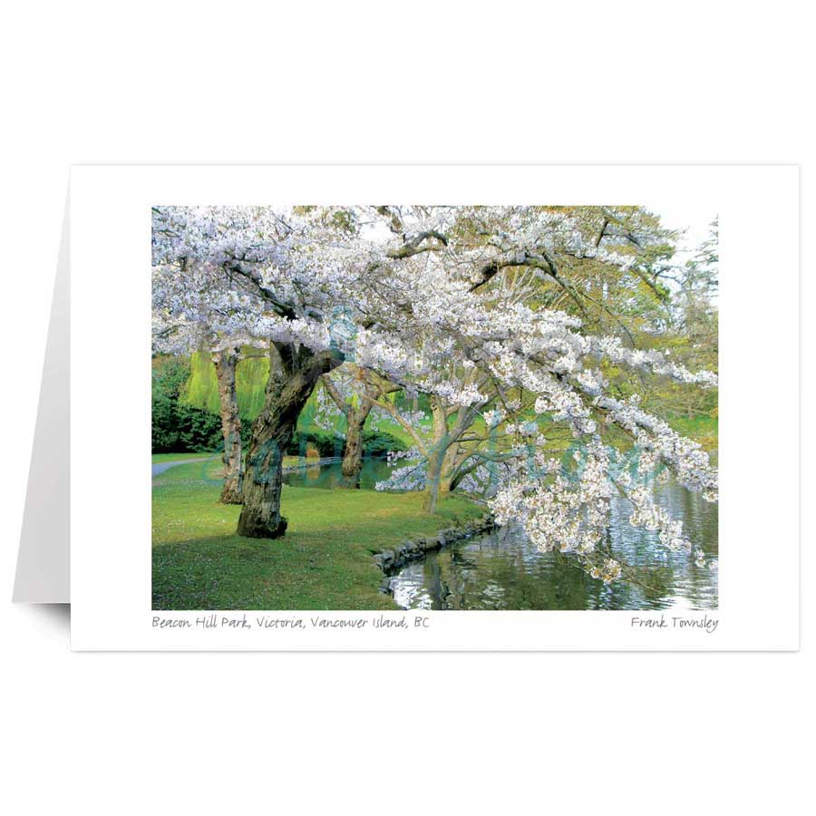 Beacon Hill Park, Victoria, Vancouver Island, BC by artist Frank Townsley