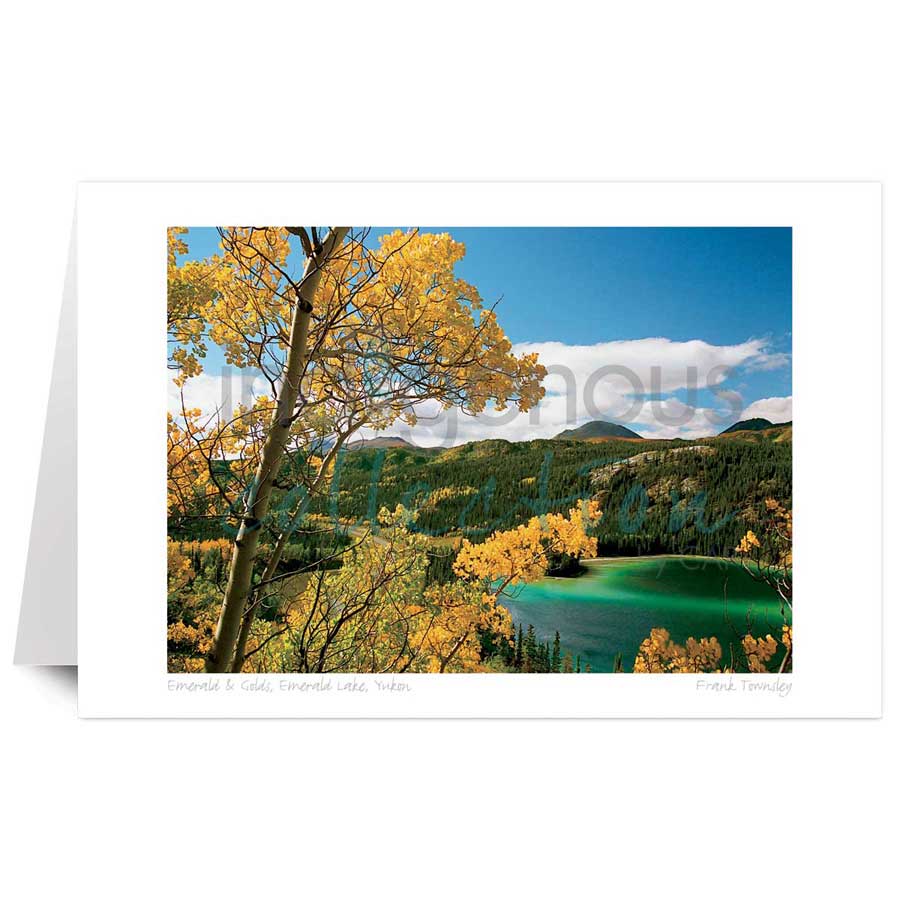 Emerald & Golds, Emerald Lake, Yukon by artist Frank Townsley