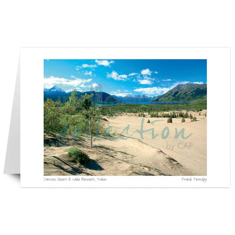 Carcross Desert & Lake Bennett, Yukon by artist Frank Townsley