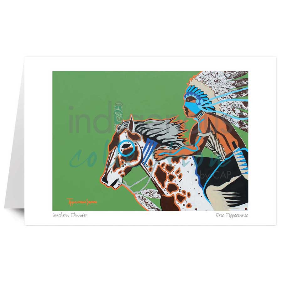 Southern Thunder by artist Eric Tippeconnic