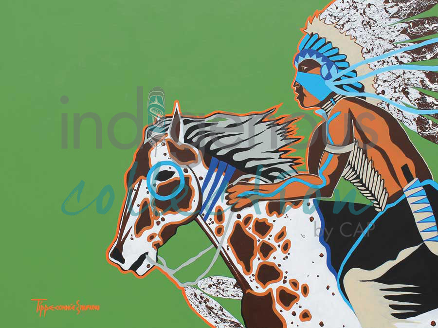 Southern Thunder by artist Eric Tippeconnic