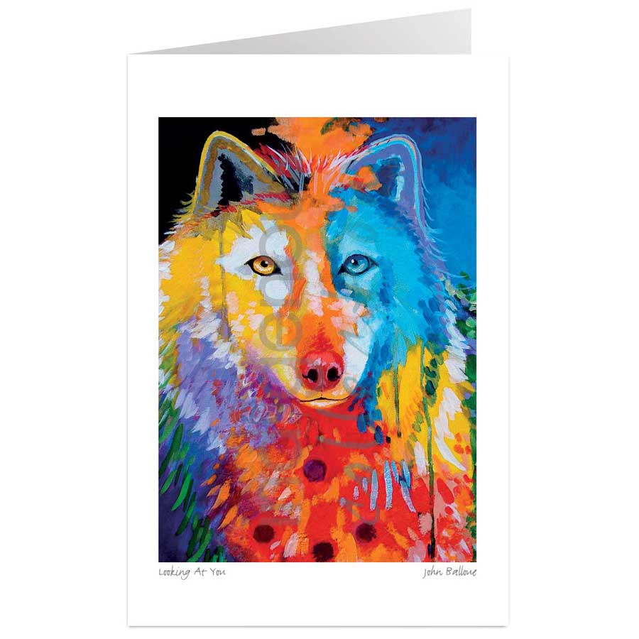 Looking At You by artist John Balloue