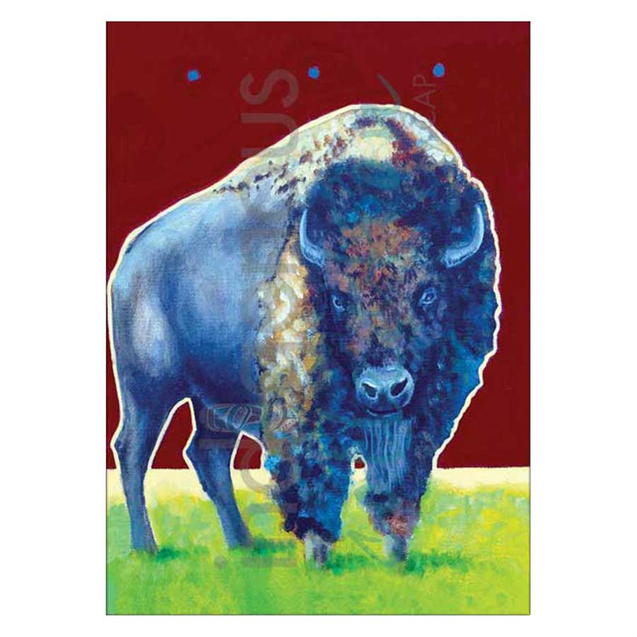 Mr. Bison Canvas Prints