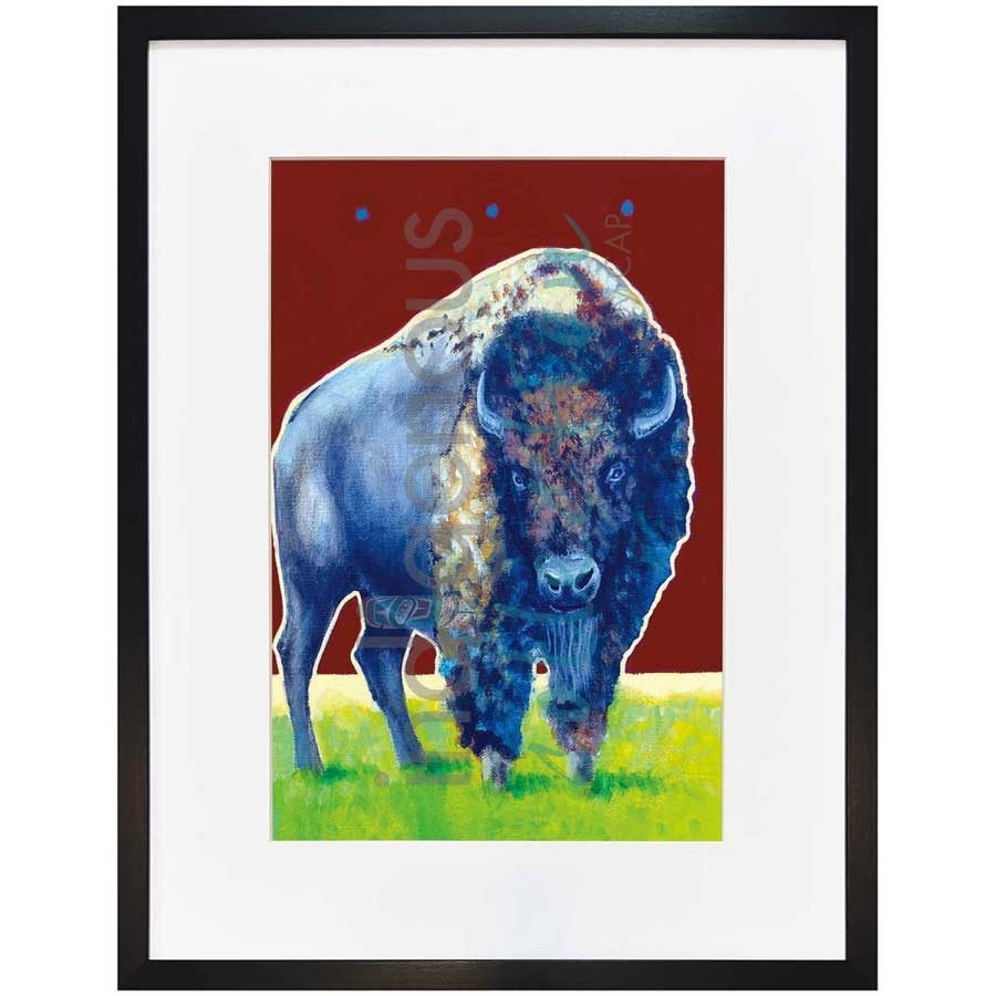 Mr. Bison by artist John Balloue - Cherokee. Indigenous Collection