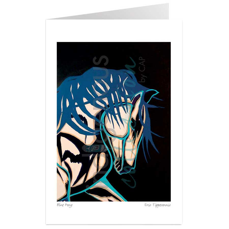Blue Pony by artist Eric Tippeconnic