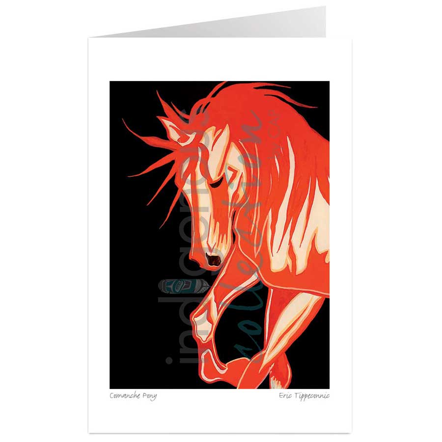 Comanche Pony by artist Eric Tippeconnic