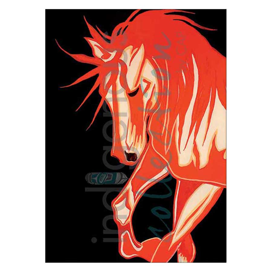 Comanche Pony Canvas Prints