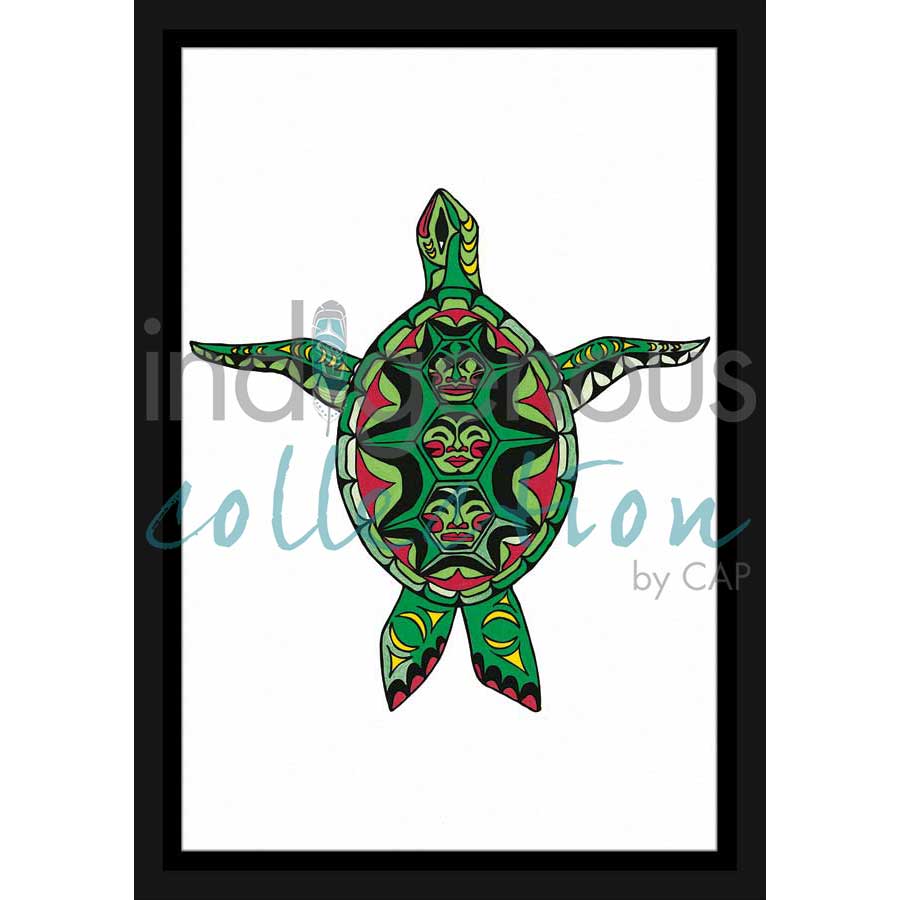 Turtle by artist Angela Kimble - Coast Salish/Nuu-Chah-Nulth. Indigenous Collection