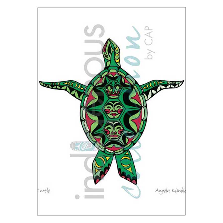 Turtle Canvas Prints