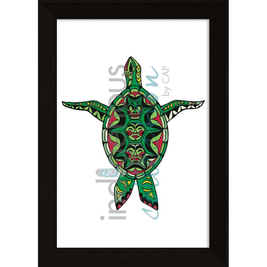 Turtle by artist Angela Kimble - Coast Salish/Nuu-Chah-Nulth. Indigenous Collection