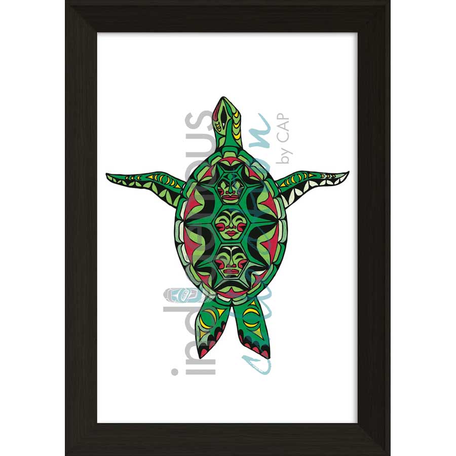 Turtle by artist Angela Kimble - Coast Salish/Nuu-Chah-Nulth. Indigenous Collection