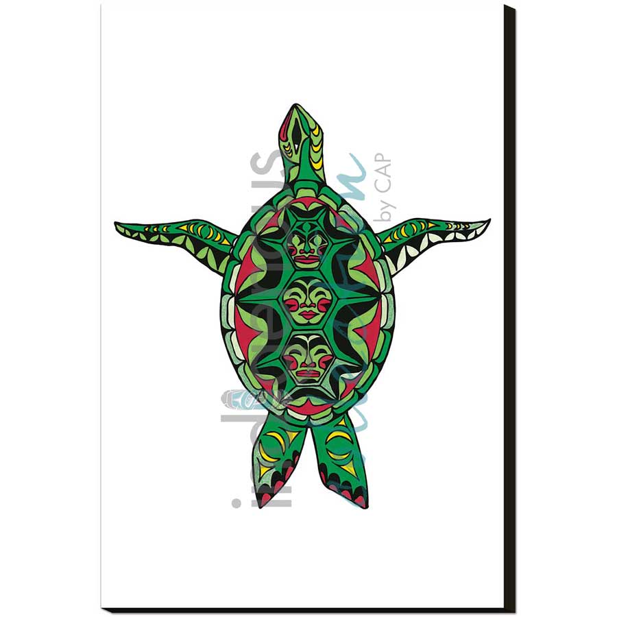 Turtle by artist Angela Kimble - Coast Salish/Nuu-Chah-Nulth. Indigenous Collection