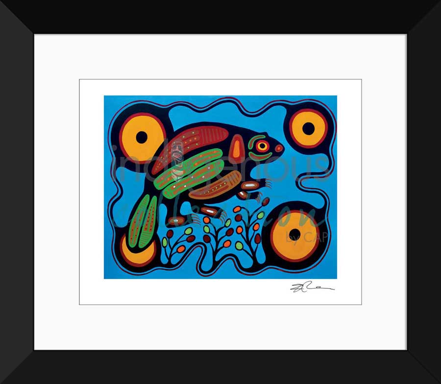 Beaver Limited Edition. Indigenous Collection