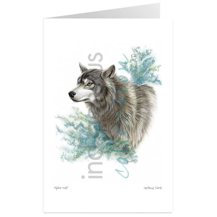 Alpha Wolf by artist Stefanie Clark