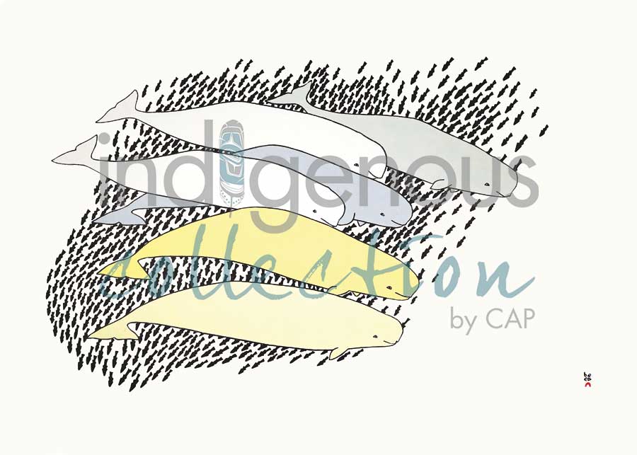 Qilalugaq (Beluga) by artist Tim Pitsiulak