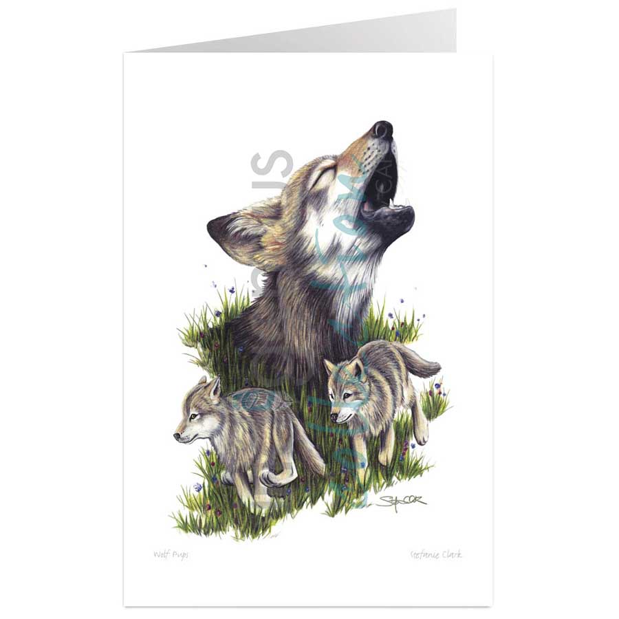 Wolf Pups by artist Stefanie Clark
