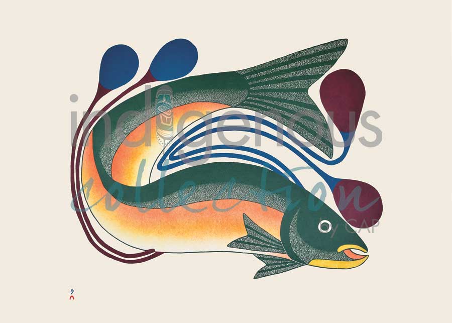 Iqalutsiavak (Beautiful Fish) by artist Kenojuak Ashevak