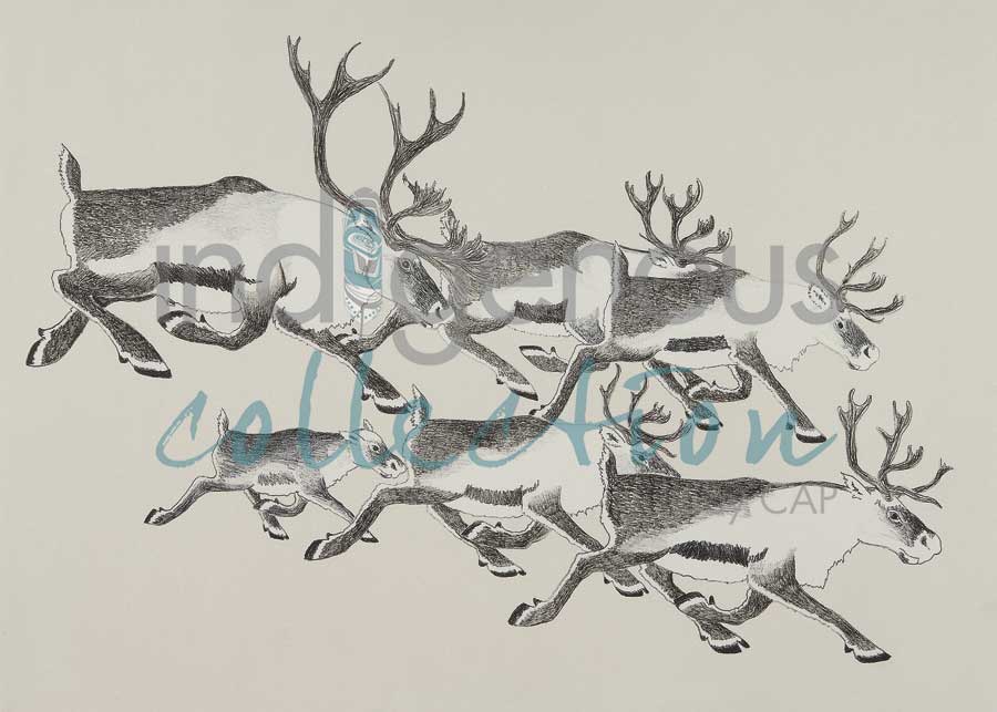 Caribou Migration by artist Tim Pitsiulak