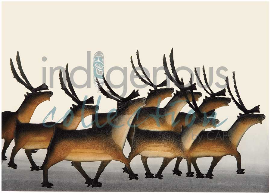 Steadfast Herd by artist Kananginak Pootoogook
