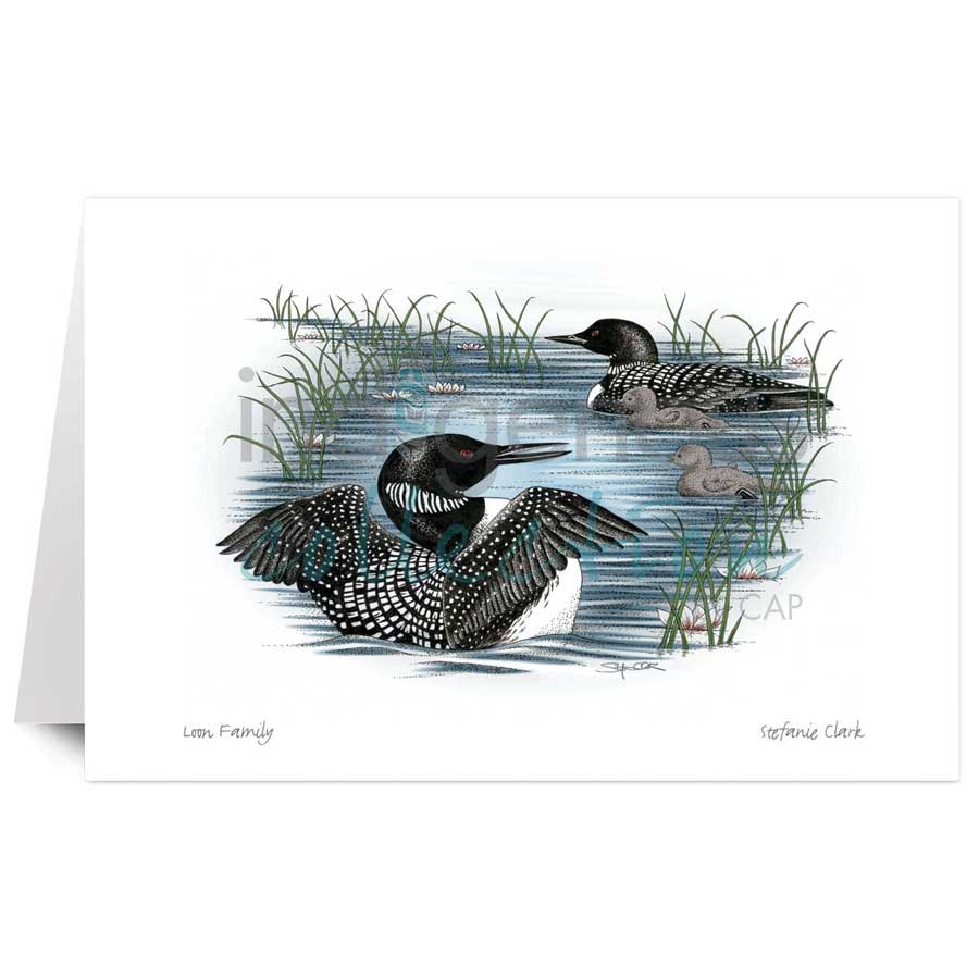 Loon Family by artist Stefanie Clark