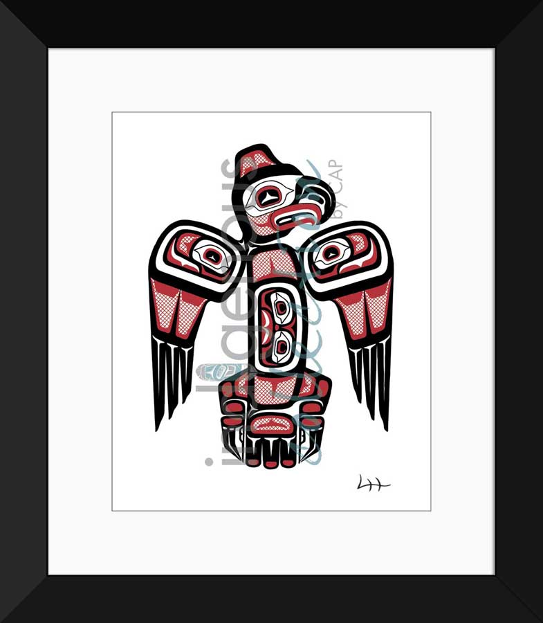 Stastos Eagle I Limited Edition. Indigenous Collection