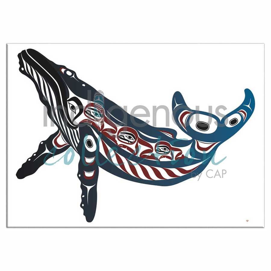 Humpback Whale Magnets by artist Mark Preston