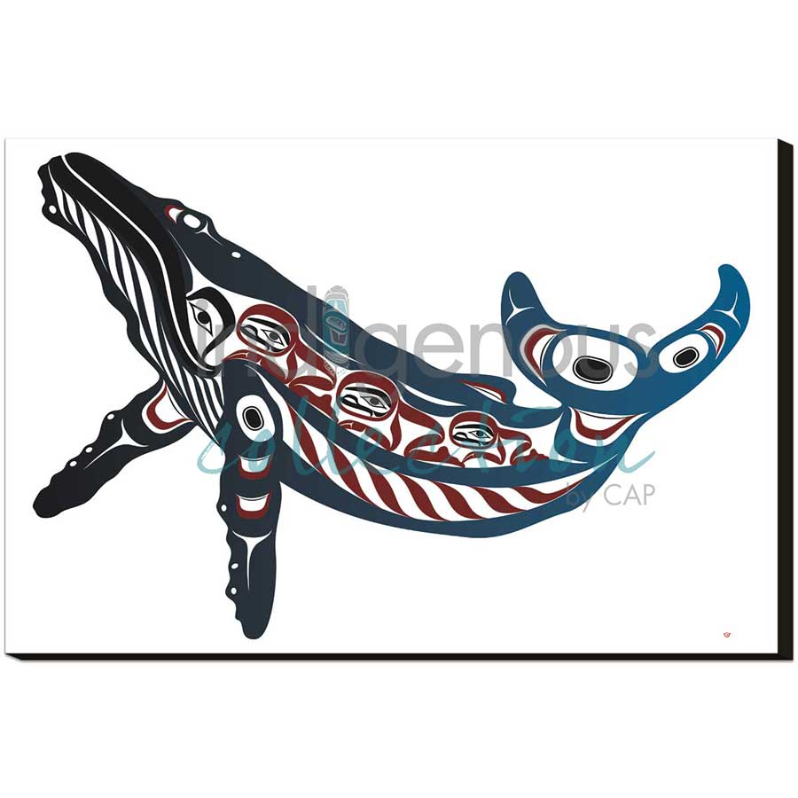 Humpback Whale by artist Mark Preston - Tlingit. Indigenous Collection