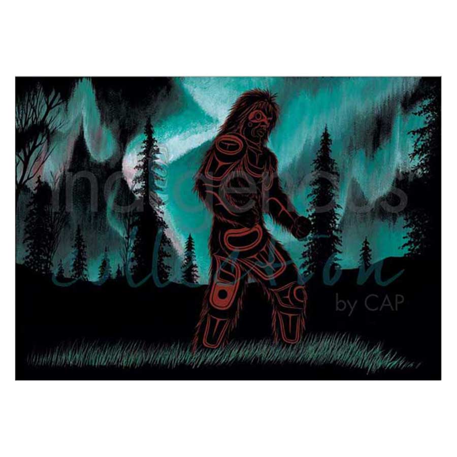 Northern Lights Dancer Canvas Prints