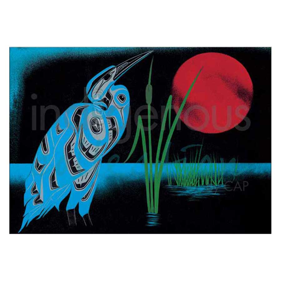 Night Heron Canvas Prints