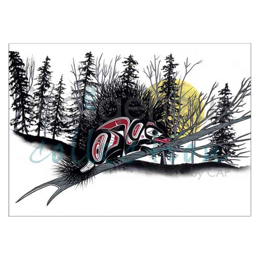 Porcupine - Wind Tall Canvas Prints