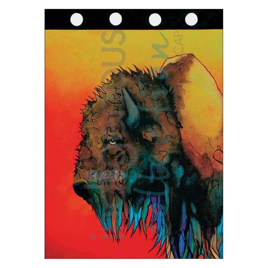 Buffalo Soldier Canvas Prints