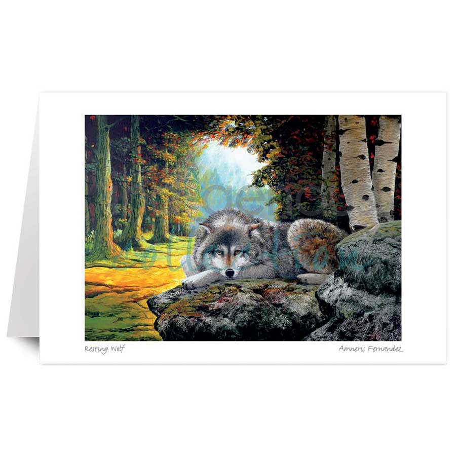 Resting Wolf by artist Amneris Fernandez