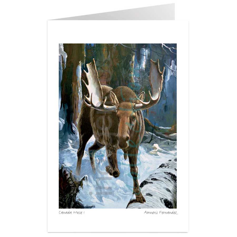 Canada Mosse I by artist Amneris Fernandez