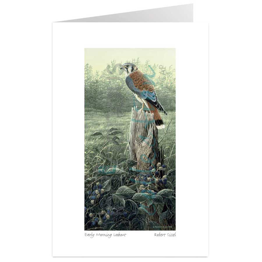 Early Morning Lookout by artist Robert Sissel