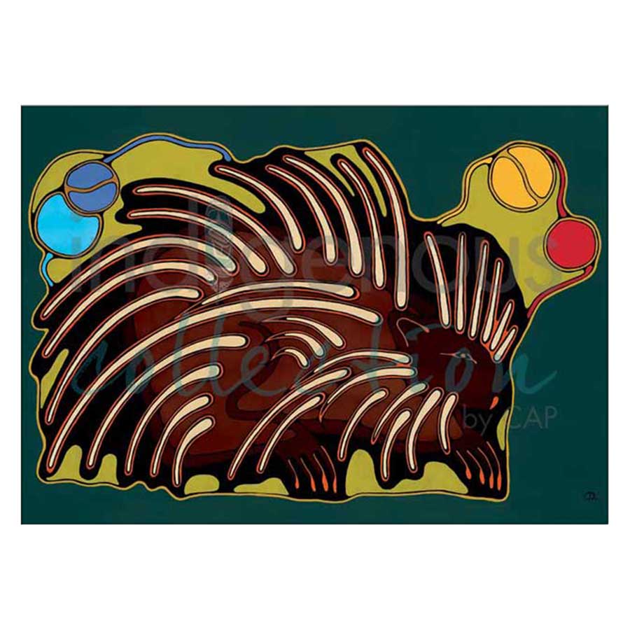 Porcupine Canvas Prints