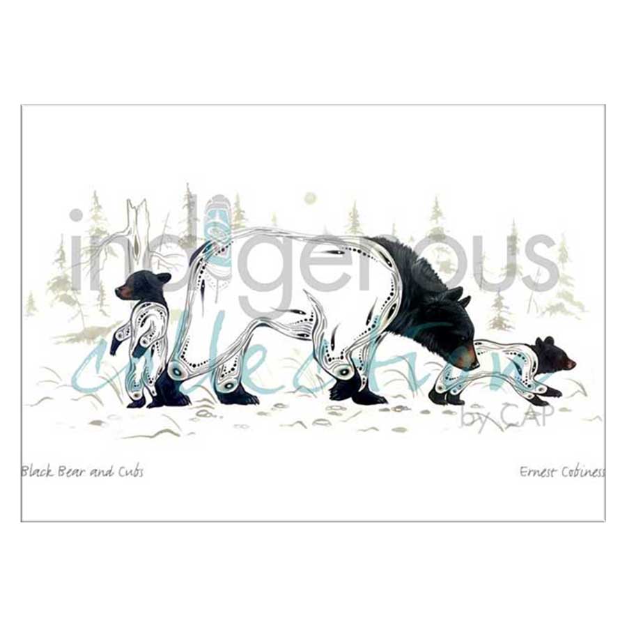 Black Bear and Cub Canvas Prints