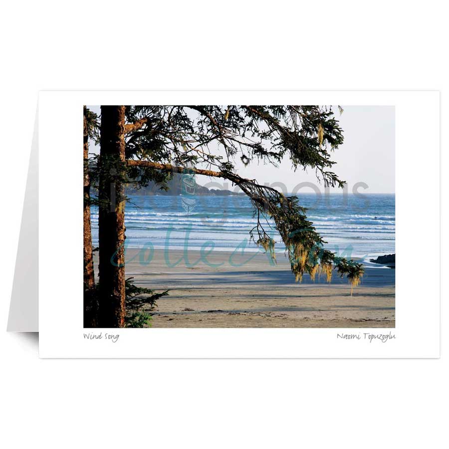 Wind Song by artist Naomi Topuzoglu