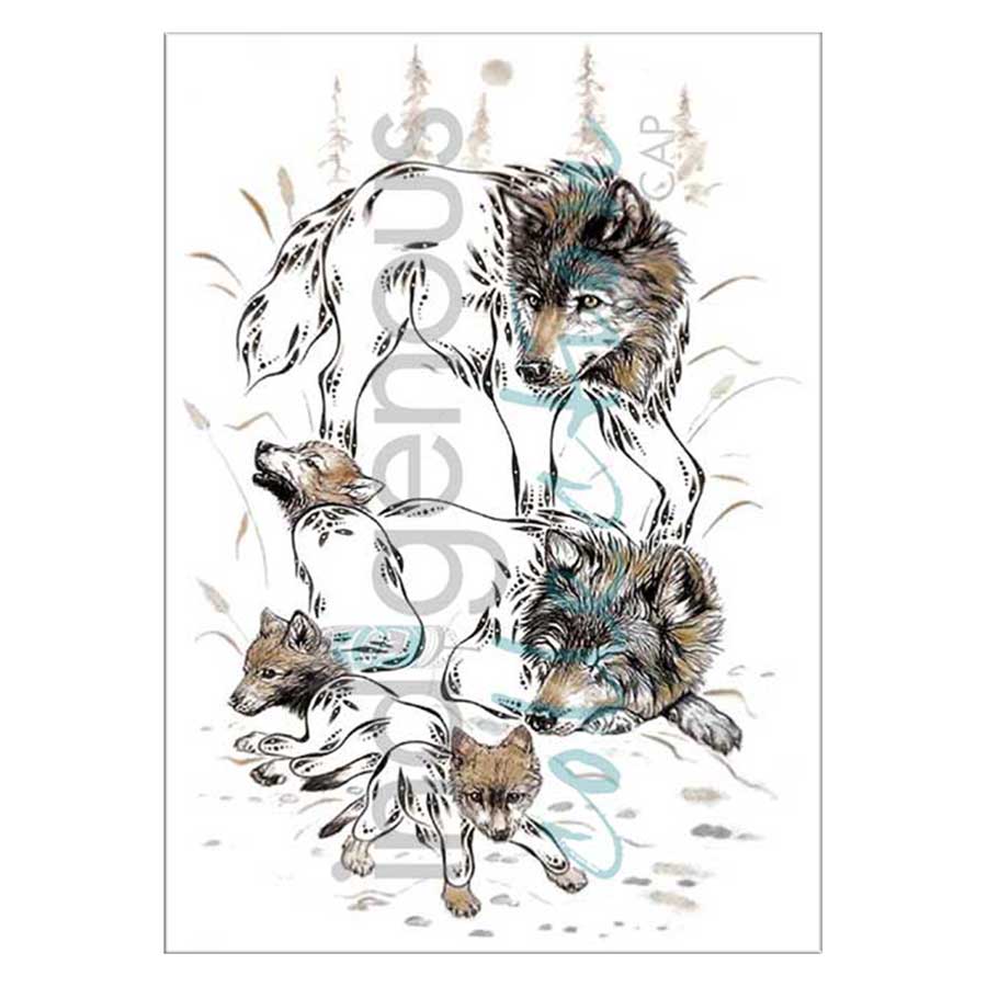 Bison Canvas Prints