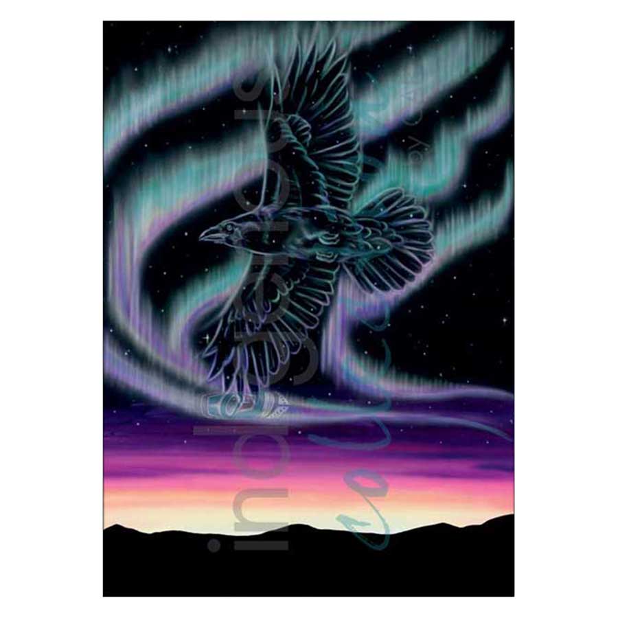 Sky Dance - Raven Canvas Prints