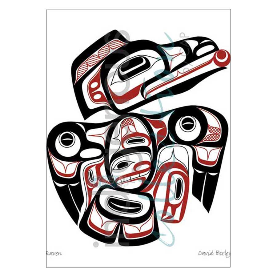 Raven Canvas Prints