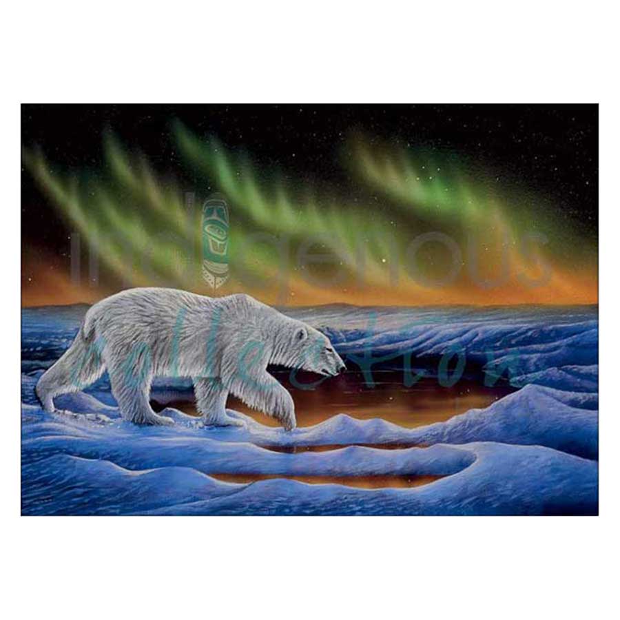 Polar Night Canvas Prints