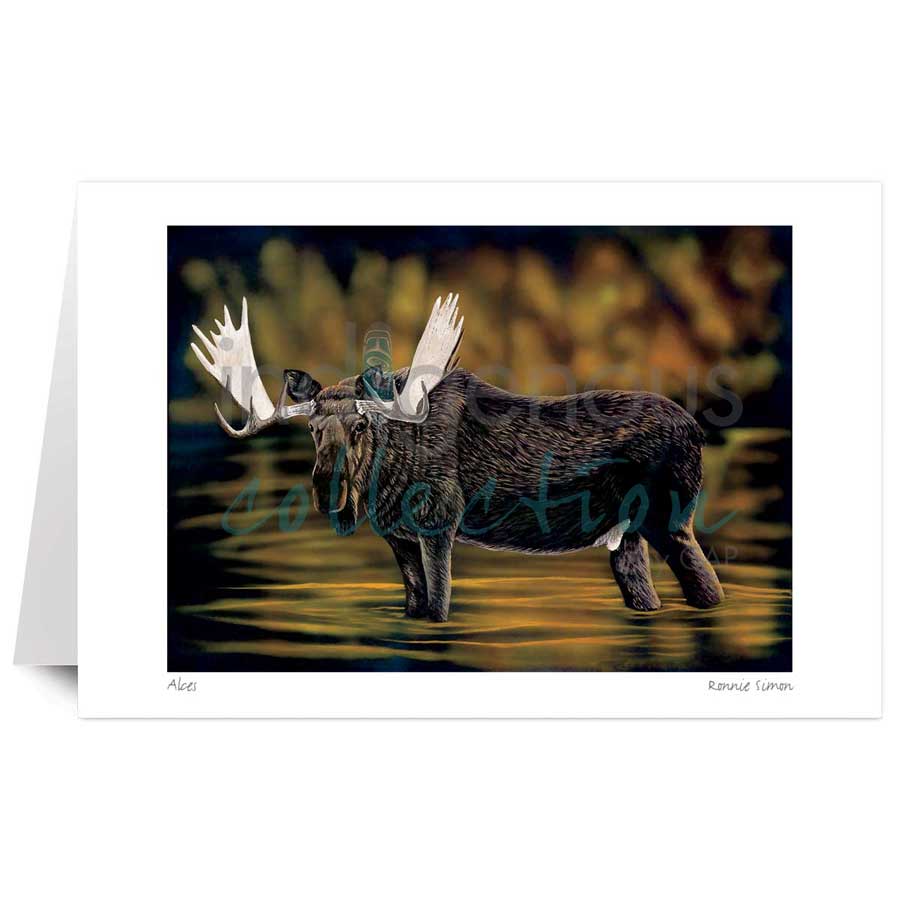 Alces by artist Ronnie Simon