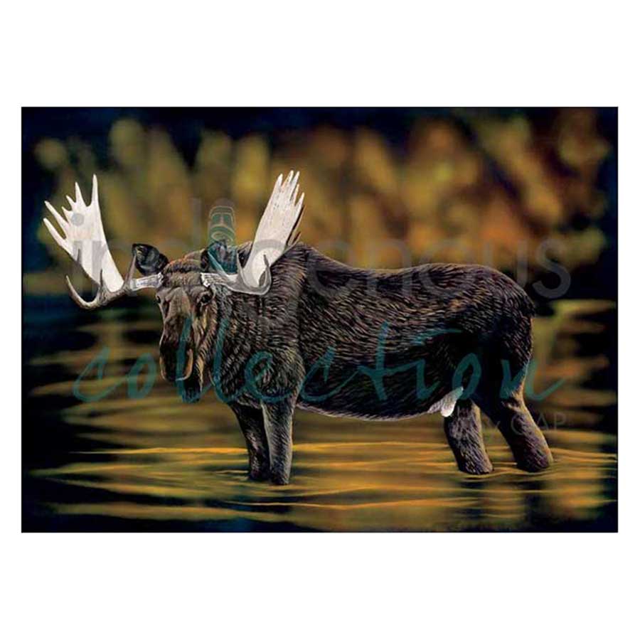 Alces Canvas Prints