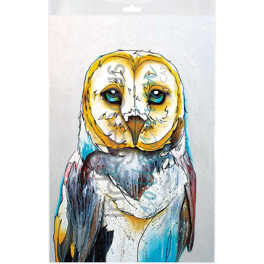 Barn Owl by artist Micqaela Jones - Te-Moak. Indigenous Collection