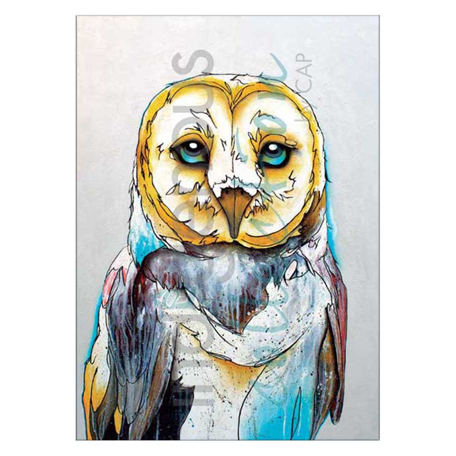 Barn Owl Canvas Prints