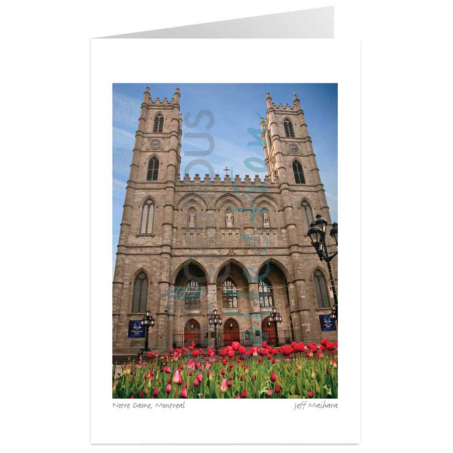 Notre Dame, Montreal by artist Jeff Maihara