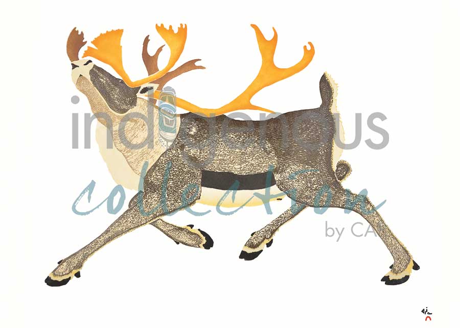 Dominant Caribou by artist Tim Pitsiulak